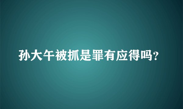 孙大午被抓是罪有应得吗？