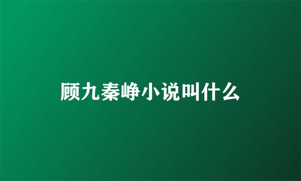 顾九秦峥小说叫什么