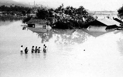 1983年 安康洪水的详情