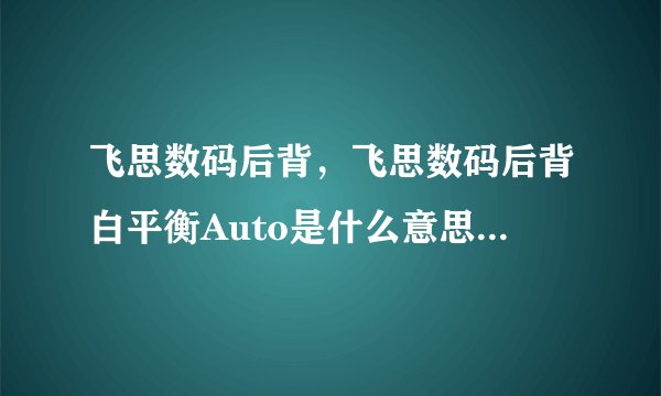 飞思数码后背，飞思数码后背白平衡Auto是什么意思( 二 )