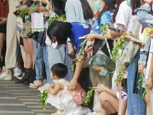 王一博粉丝拿竟拿香菜应援，这是什么操作？