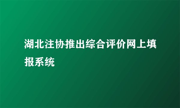 湖北注协推出综合评价网上填报系统