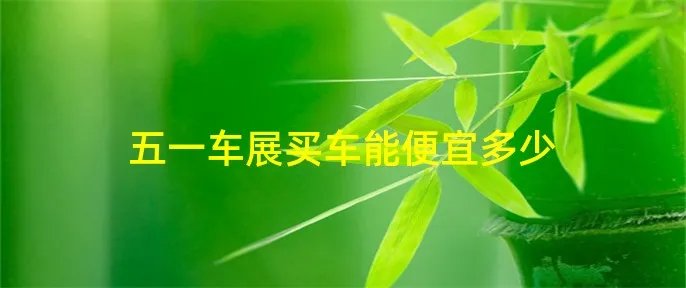 五一车展买车能便宜多少