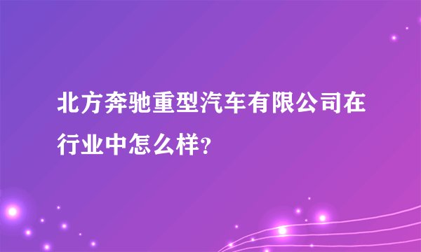 北方奔驰重型汽车有限公司在行业中怎么样？