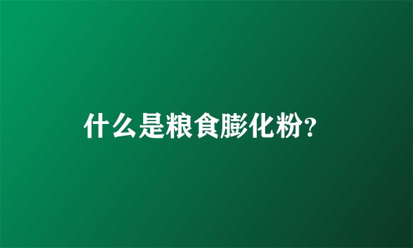 什么是粮食膨化粉？