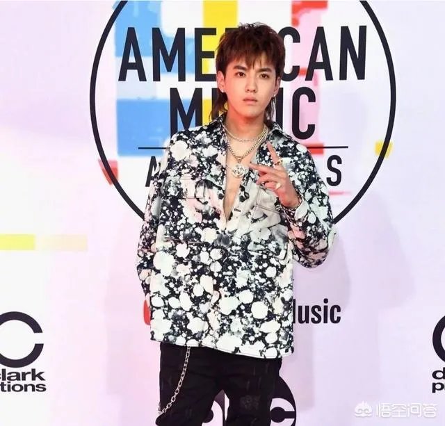 吴亦凡亮相全美音乐奖AMA红毯，挑战鲟鱼发型，外媒镜头下颜值如何？