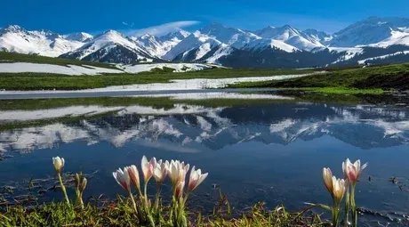 新疆1天连发4个预警信息，那里的天气为何变幻无常？