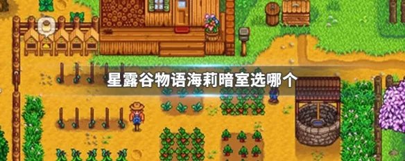 星露谷物语海莉暗室选哪个