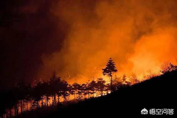 凉山30名扑火队员全部遇难。山火爆燃是如何发生的？