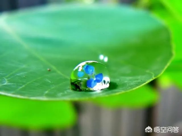 联通充值卡服务电话号码是多少？