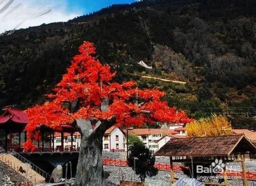 米亚罗旅游攻略