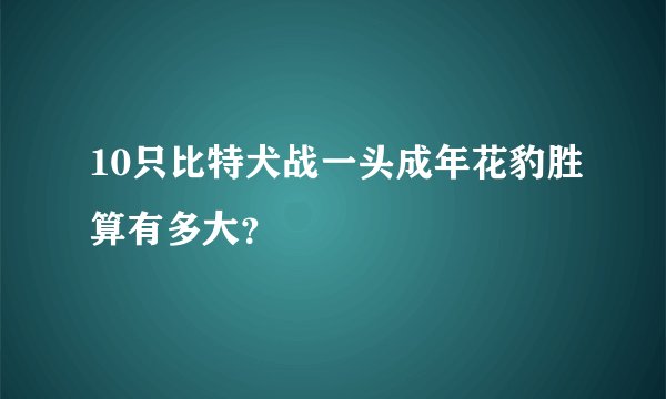 10只比特犬战一头成年花豹胜算有多大？