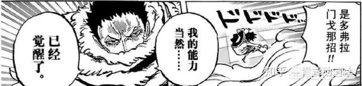 《海贼王》里头果实都能够觉醒，那么路飞的果实觉醒了以后会是怎么样的？