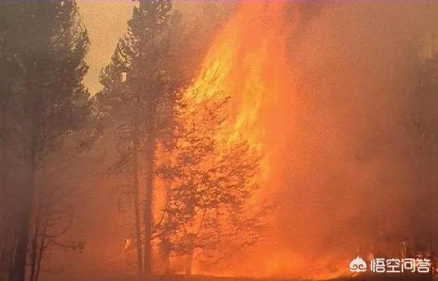 凉山30名扑火队员全部遇难。山火爆燃是如何发生的?