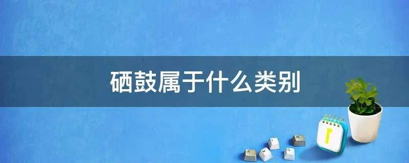硒鼓属于什么类别