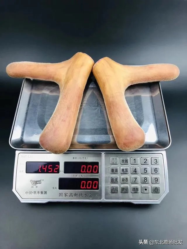 什么是好的鲜鹿茸