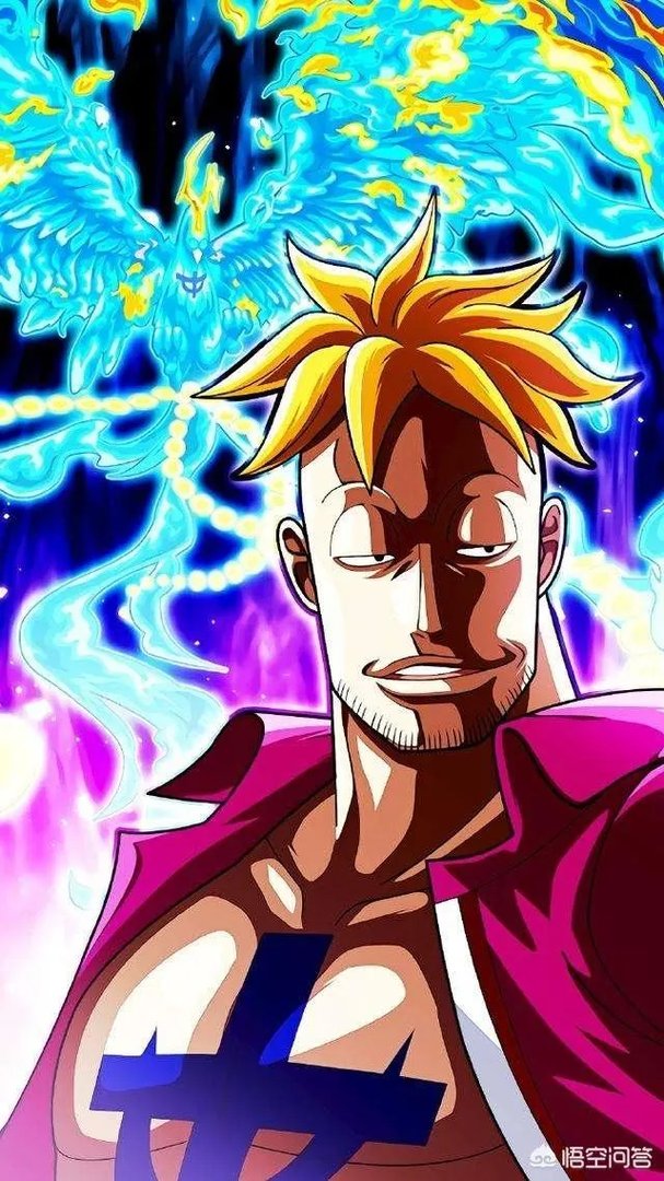 有没有《航海王》马尔高的高清壁纸分享，谢谢？