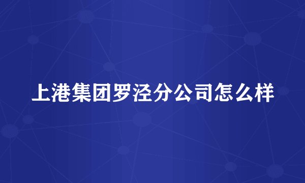 上港集团罗泾分公司怎么样