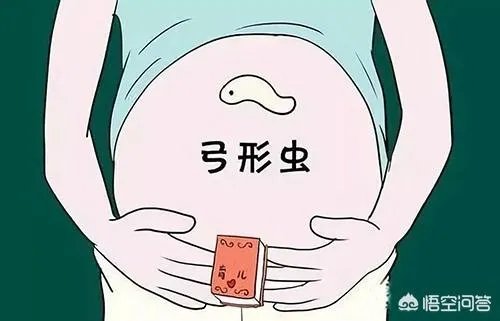 谢依霖怀孕任猫狗趴肚，怀孕养猫狗真的没有问题吗？