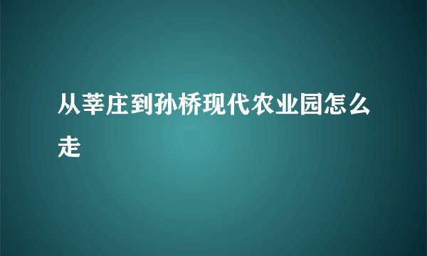 从莘庄到孙桥现代农业园怎么走