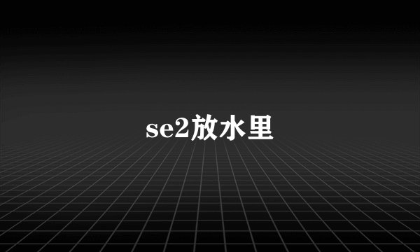 se2放水里