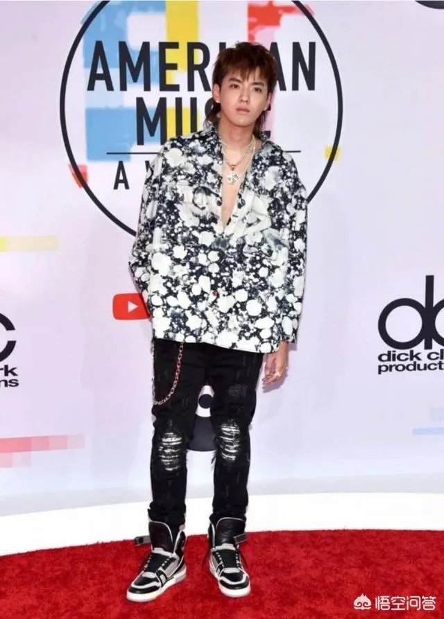 吴亦凡亮相全美音乐奖AMA红毯，挑战鲟鱼发型，外媒镜头下颜值如何？
