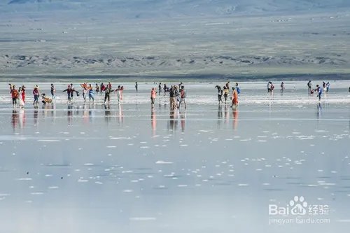 青海旅游自由行攻略