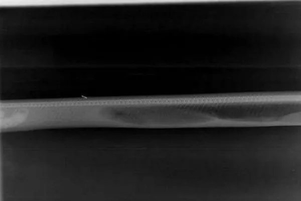 蟒蛇吞下巨鳄后，鳄鱼被消化的过程是什么样？