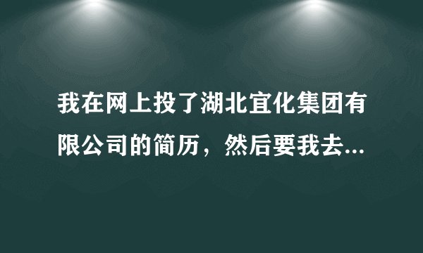 我在网上投了湖北宜化集团有限公司的简历，然后要我去洛阳面试，为什么要去洛阳啊，是不是传销啊