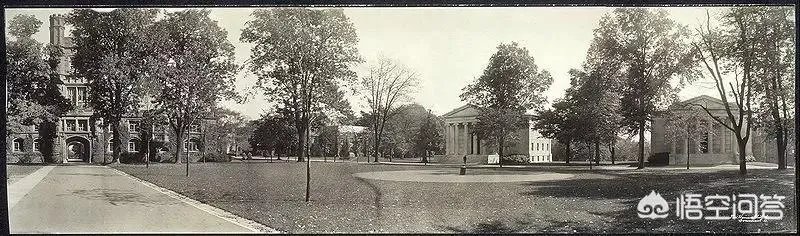 普林斯顿大学在美国是一种什么样的存在？