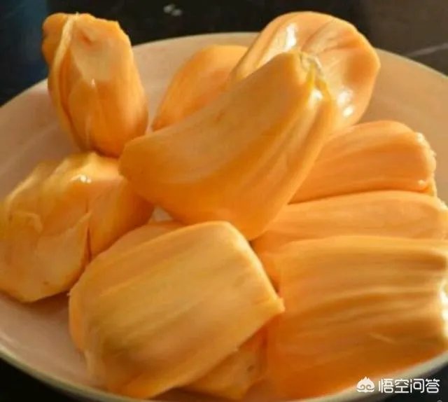 菠萝蜜凤梨菠萝麻