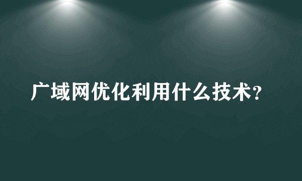 广域网优化利用什么技术？