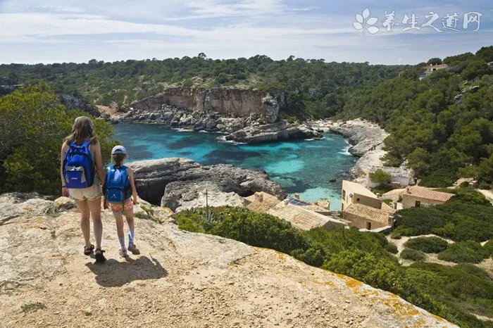 喝浓香型铁观音的好处