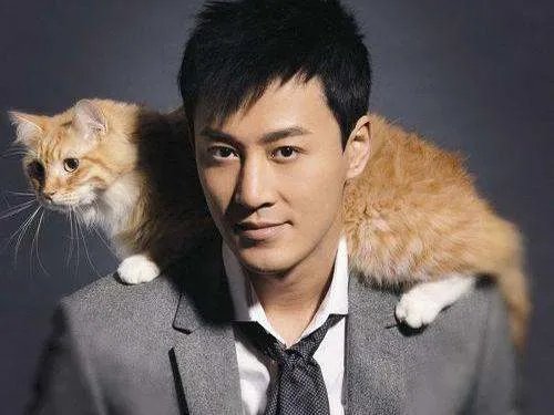 林峰女友张馨月江苏盐城人吗？