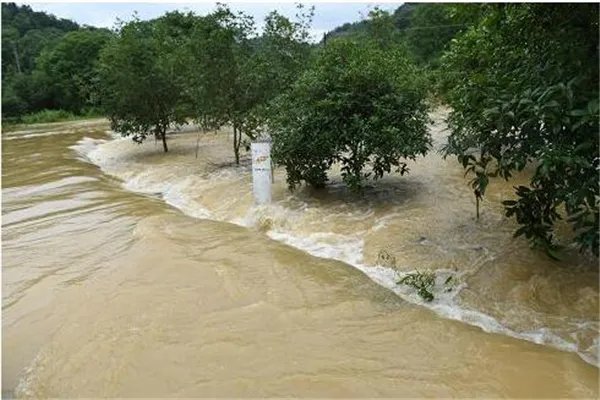 洪水袭来妻子遇难前发诀别短信 洪水来了怎么自救