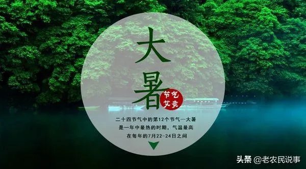 农村老话“大暑凉飕飕，立冬笑死牛”是啥意思？有道理吗？