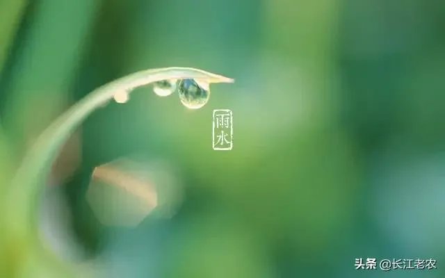 雨水落雨三大碗 大河小河都要满 说的是哪个季节