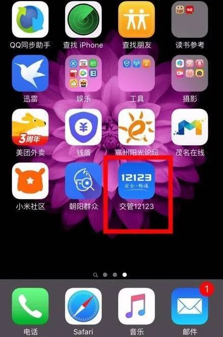 驾驶证编号怎么在手机上查