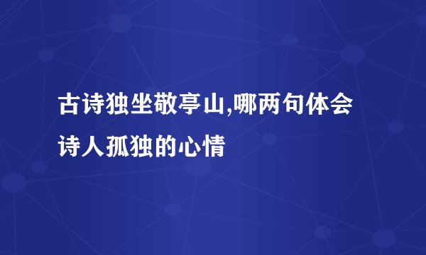 古诗独坐敬亭山,哪两句体会诗人孤独的心情