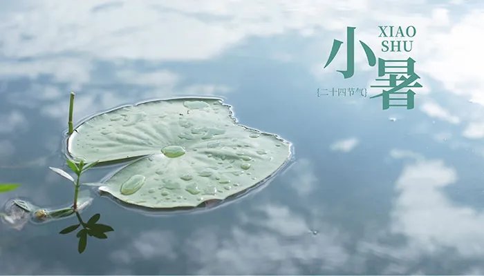小暑节气的物候特征