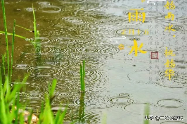 雨水落雨三大碗 大河小河都要满 说的是哪个季节