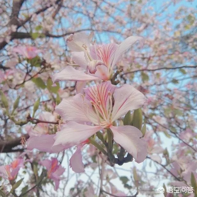 广州从化适合一个人去的地方