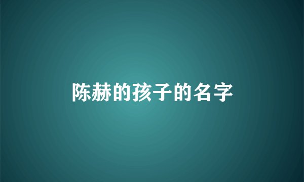 陈赫的孩子的名字