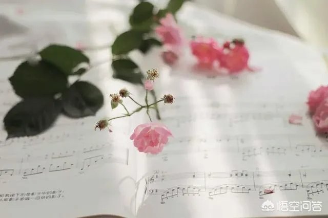 现代的那些才女中，你最欣赏谁？