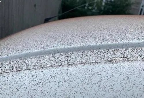 瑞士小镇下起巧克力雨是什么原因？