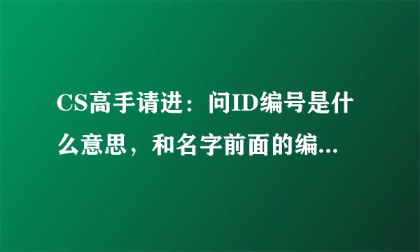 CS高手请进：问ID编号是什么意思，和名字前面的编号是一样的吗？？？？？？？？