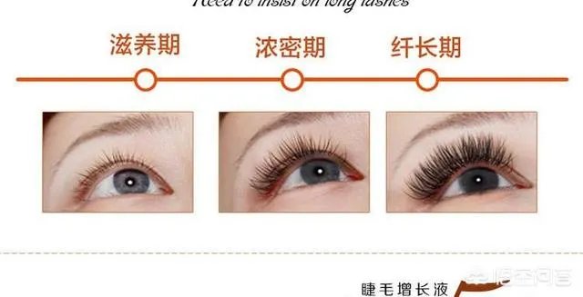 有好用的睫毛增长液有哪些推荐?