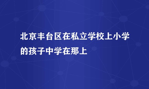 北京丰台区在私立学校上小学的孩子中学在那上