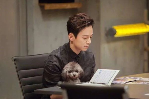 各大卫视主持人的工资差距到底有多大？