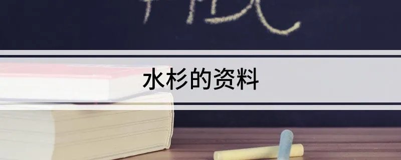 水杉的资料